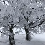 Schwarzwaldhimmel Nyaraló *