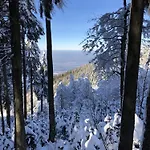 Schwarzwaldhimmel Nyaraló Feldberg