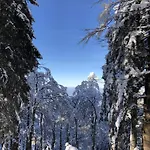 Nyaraló Schwarzwaldhimmel *