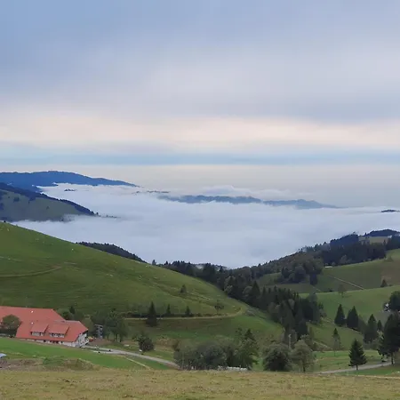 Semesterbostad Schwarzwaldhimmel
