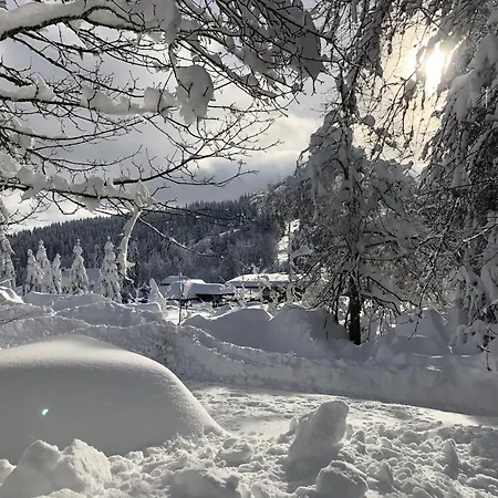 Schwarzwaldhimmel *