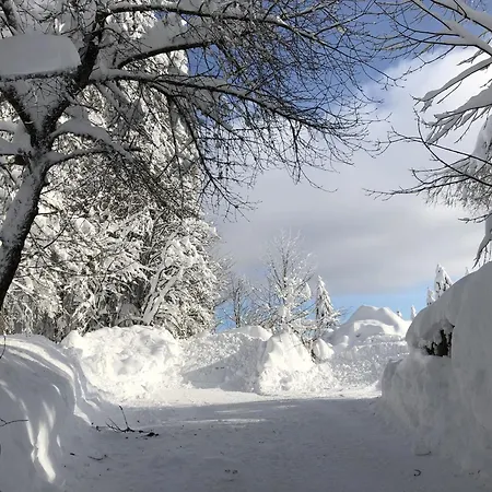 Semesterbostad Schwarzwaldhimmel Feldberg (Baden-Wurttemberg)