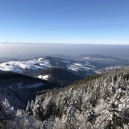 Schwarzwaldhimmel Semesterbostad *