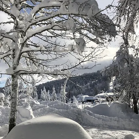 Semesterbostad Schwarzwaldhimmel *
