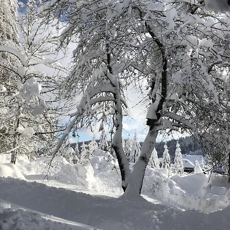 Semesterbostad Schwarzwaldhimmel *