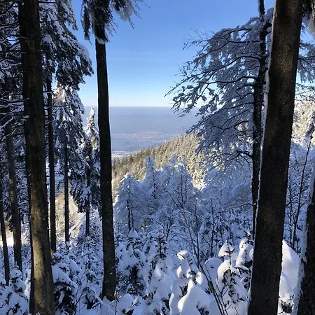 Schwarzwaldhimmel Semesterbostad Feldberg (Baden-Wurttemberg)