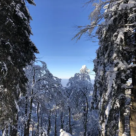 Semesterbostad Schwarzwaldhimmel *