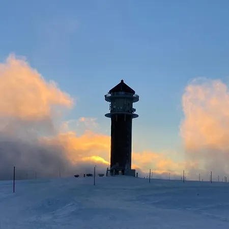 Schwarzwaldhimmel فيلدبرج