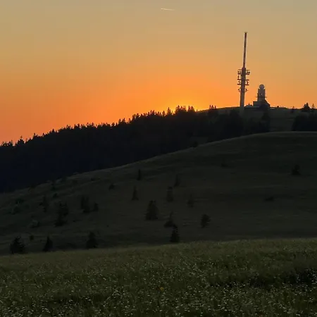Schwarzwaldhimmel بيت للعطل فيلدبرج