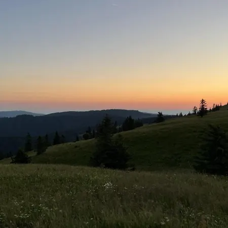 Ferienhaus Schwarzwaldhimmel *