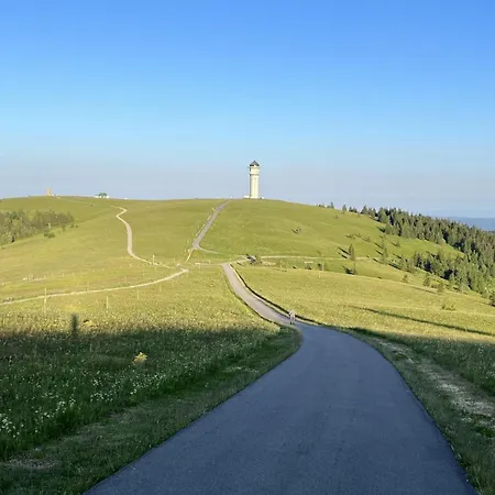Schwarzwaldhimmel بيت للعطل فيلدبرج