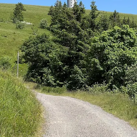 Ferienhaus Schwarzwaldhimmel *