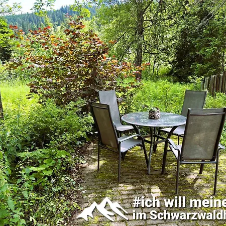 Semesterbostad Schwarzwaldhimmel Feldberg (Baden-Wurttemberg)