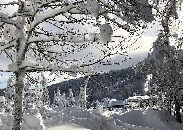 Сasa de vacaciones Schwarzwaldhimmel *