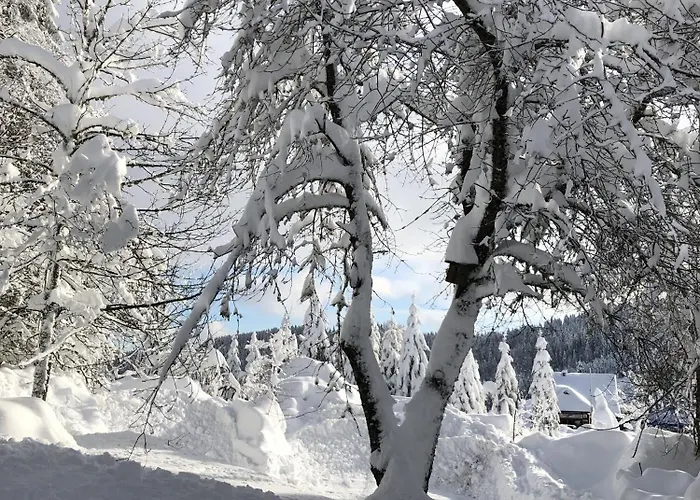 Сasa de vacaciones Schwarzwaldhimmel *